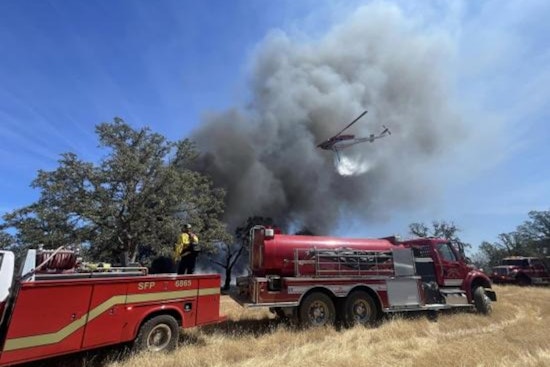 Trump Administration to Establish U.S. Wildland Fire Service to Streamline National Wildfire Response