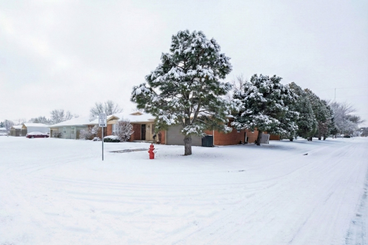 Two Arrested for Murder after Woman Dies Sledding Behind Car in NW