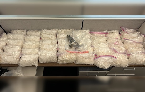 Two Suspected of Meth Trafficking and Firearm Possession Face Court in Atlanta