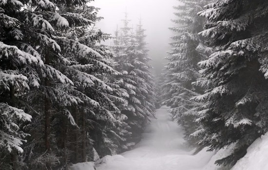TWRA Announces Closure of Chuck Swan WMA & State Forest During Impending Cold Snap in Tennessee