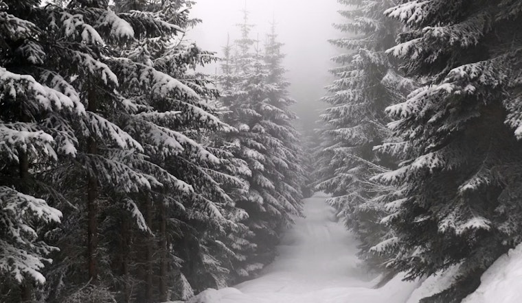 TWRA Announces Closure of Chuck Swan WMA & State Forest During Impending Cold Snap in Tennessee