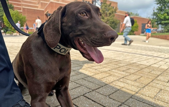 University of Tennessee Police Department Mourns K-9 Doc After Tragic Accident