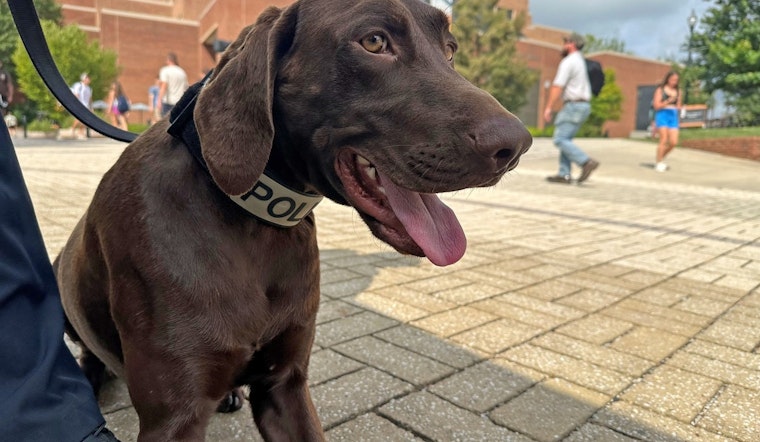 University of Tennessee Police Department Mourns K-9 Doc After Tragic Accident