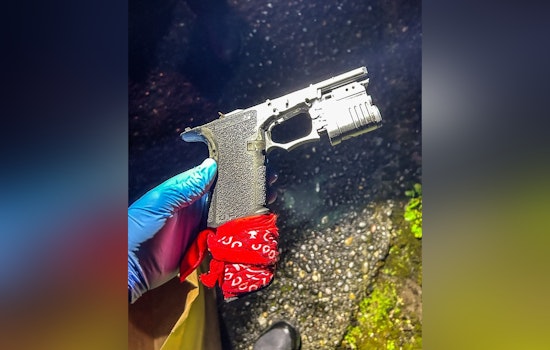 Vancouver Fence-Smashing SUV Hit-and-Run Ends With K9 Bust, Police Say