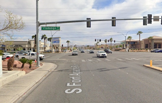 Vegas Salon For Shelter Dogs Ransacked In Brazen Smash-and-Grab