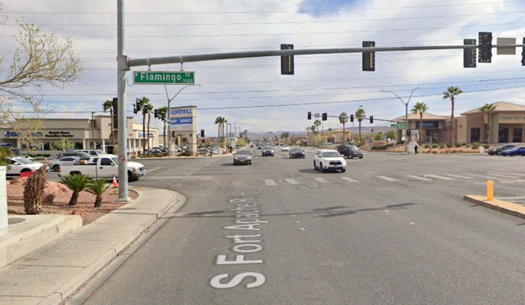 Vegas Salon For Shelter Dogs Ransacked In Brazen Smash-and-Grab