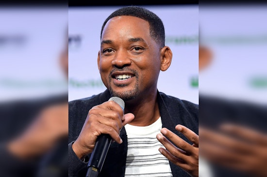 Violinist Says Sin City Hotel Scare Got Him Axed From Will Smith Tour