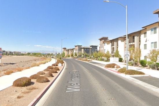 Viral Video Busts Henderson Man Accused Of Hurling Cat Against Wall