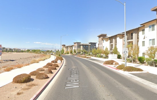Viral Video Busts Henderson Man Accused Of Hurling Cat Against Wall