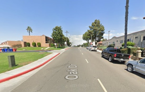 Vista Pickup Tears Through Streets In Wild DUI Crash Rampage