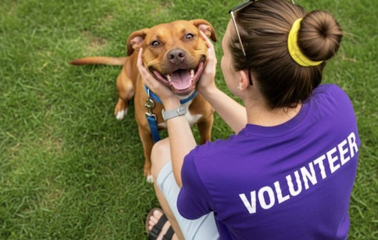 Wake County Animal Center in Raleigh Temporarily Closes for Repairs as Community Adoption Efforts Continue