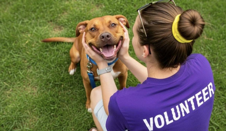 Wake County Animal Center in Raleigh Temporarily Closes for Repairs as Community Adoption Efforts Continue