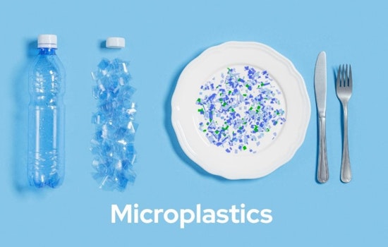 Wake County Government Advises on Reducing Microplastic Exposure for Public Health