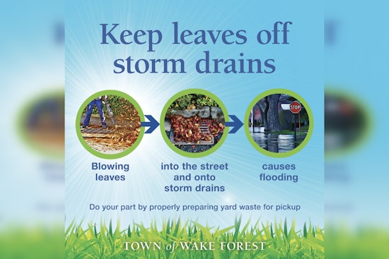 Wake Forest Residents Reminded to Adhere to Leaf Collection Guidelines Until March 2026