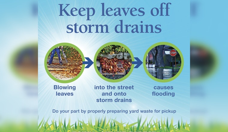 Wake Forest Residents Reminded to Adhere to Leaf Collection Guidelines Until March 2026