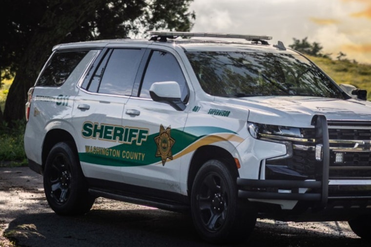 Washington County Sheriff's Office Provides Insight Into Inmate Population in Tennessee