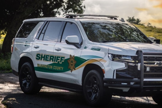 Washington County Sheriff's Office Provides Insight Into Inmate Population in Tennessee