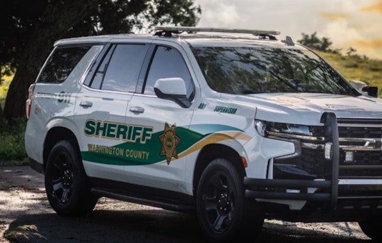 Washington County Sheriff's Office Provides Insight Into Inmate Population in Tennessee