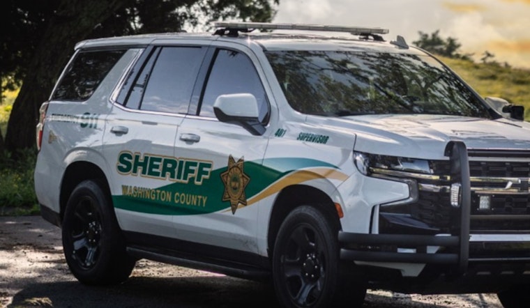 Washington County Sheriff's Office Provides Insight Into Inmate Population in Tennessee
