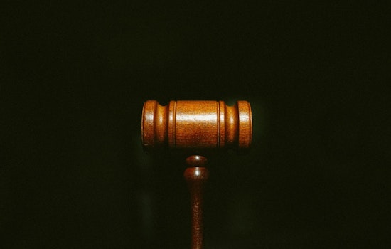 Washington D.C. Man Admits to Strangling Girlfriend, Granted Bail Pending Sentencing