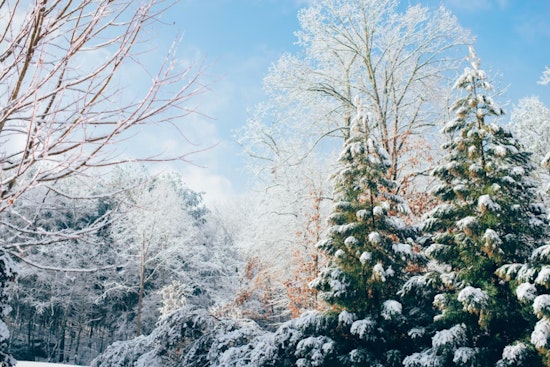 Washington, D.C. Braces for Major Winter Storm as Harsh Conditions Threaten Monday Commute