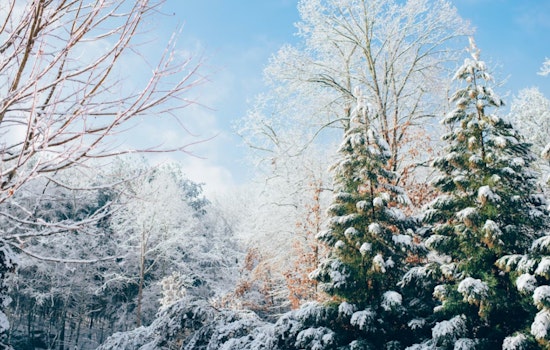 Washington, D.C. Braces for Major Winter Storm as Harsh Conditions Threaten Monday Commute