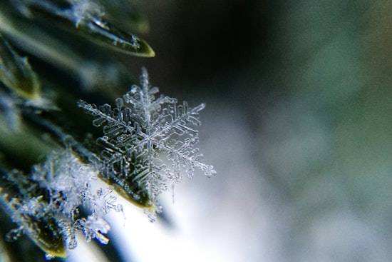Washington, D.C. Braces for Mixed Rain, Snow, and Sleet with Chilly Temperatures Ahead