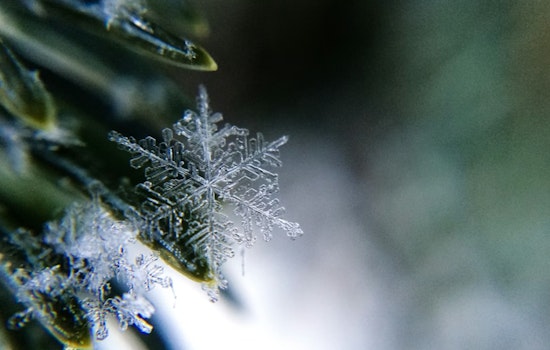 Washington, D.C. Braces for Mixed Rain, Snow, and Sleet with Chilly Temperatures Ahead