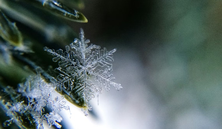 Washington, D.C. Braces for Mixed Rain, Snow, and Sleet with Chilly Temperatures Ahead