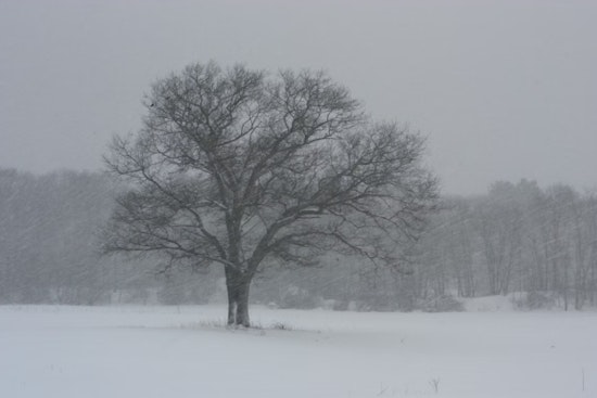 Washington DC on Alert as NWS Issues Winter Storm Watch for Heavy Snow and Ice