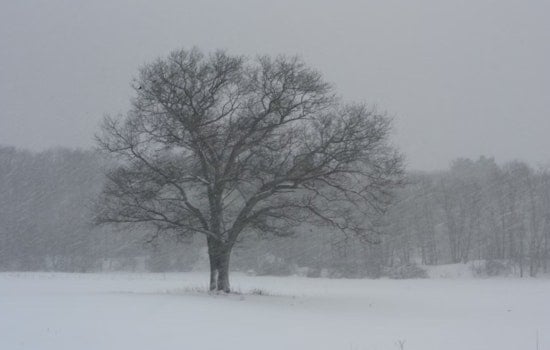 Washington DC on Alert as NWS Issues Winter Storm Watch for Heavy Snow and Ice