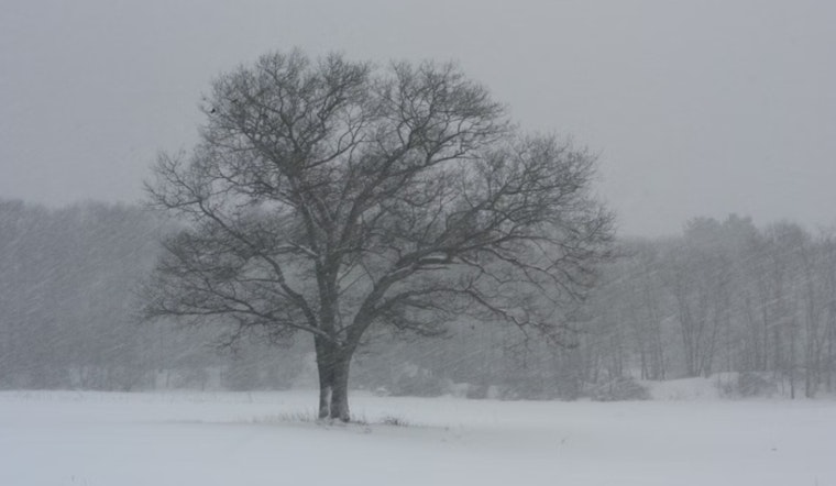 Washington DC on Alert as NWS Issues Winter Storm Watch for Heavy Snow and Ice