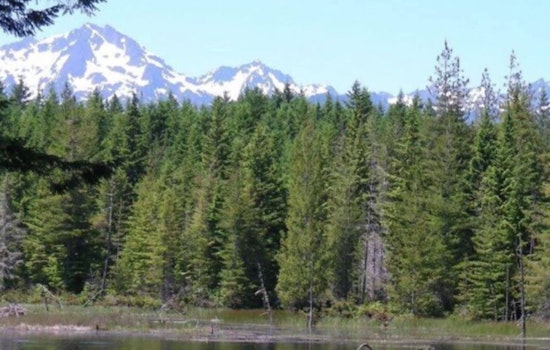 Washington's DNR Unveils Strategic Plan for Sustainable Western Forests Amid Environmental Concerns