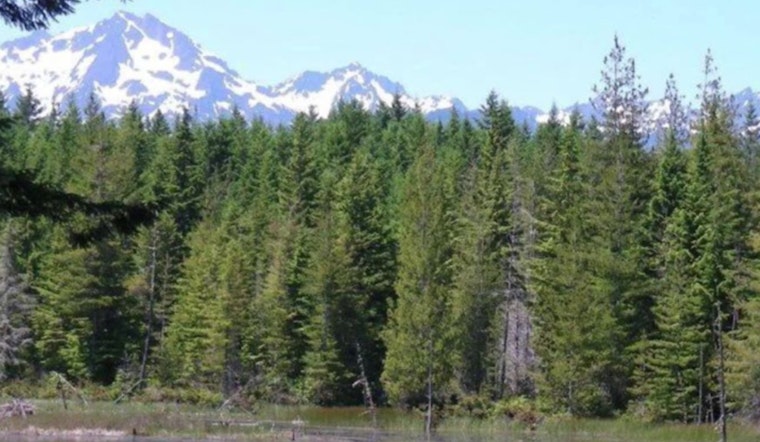 Washington's DNR Unveils Strategic Plan for Sustainable Western Forests Amid Environmental Concerns