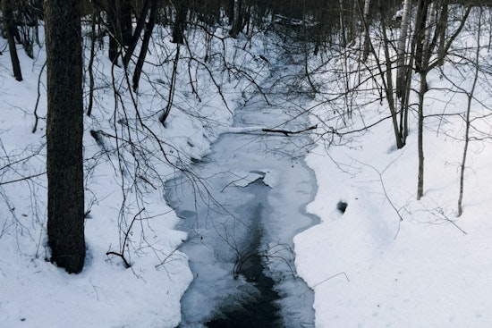 Water Main Break in Melvindale Repaired, Streets Cleared After Icy Flooding Chaos