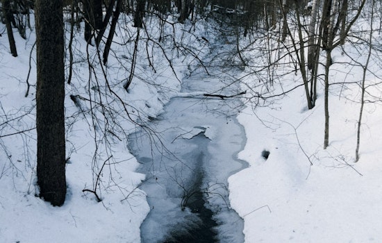 Water Main Break in Melvindale Repaired, Streets Cleared After Icy Flooding Chaos
