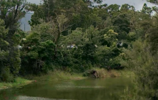 Water Wasted, Farms Soaked as Wahiawa Sugar Canals Crumble