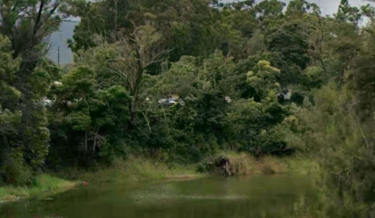 Water Wasted, Farms Soaked as Wahiawa Sugar Canals Crumble