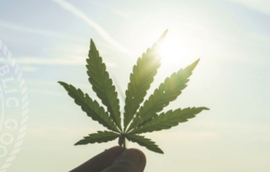 Weed Rules on the Line as San Diego Supes Weigh Cannabis Overhaul