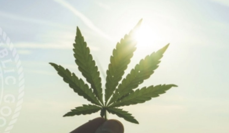 Weed Rules on the Line as San Diego Supes Weigh Cannabis Overhaul