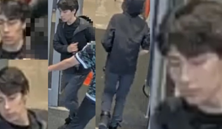 Westheimer Wine Aisle Beatdown Leaves Houston Clerk Badly Hurt
