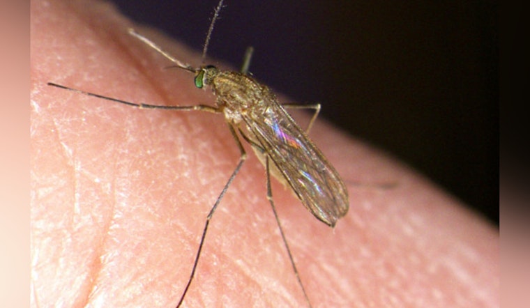 West Nile Mosquitoes Invade Harris County Neighborhoods Unseasonably Early
