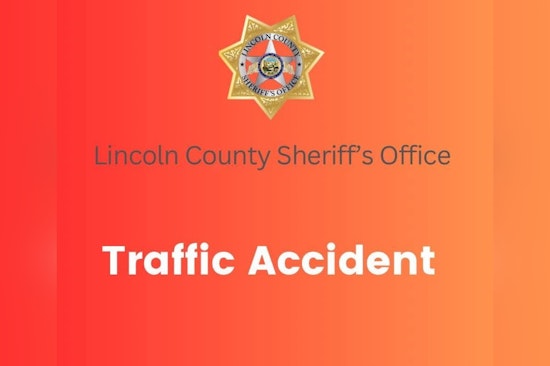 Wild Horse Crash Chaos on U.S. 93 Near Panaca, Traffic Keeps Moving