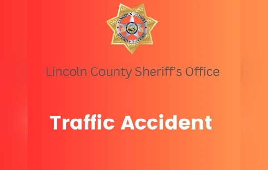 Wild Horse Crash Chaos on U.S. 93 Near Panaca, Traffic Keeps Moving