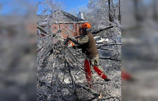 Wildlife Crews Scale Icy Hinch Mountain To Keep Crossville Connected