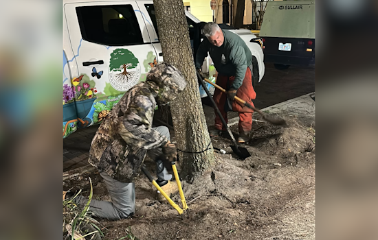 Winter Park Commences $2.5 Million Park Avenue Revitalization Project for Enhanced Safety and Aesthetics