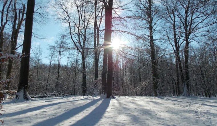 Winter Storm Watch in Effect for Central North Carolina with Heavy Snow and Winds Expected This Weekend