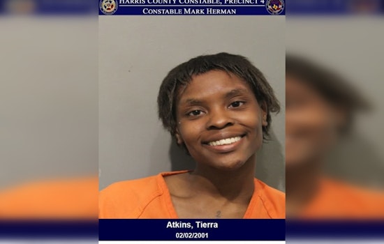 Woman Accused of Shoplifting Bites and Spits on Deputies During Arrest in North Freeway Area
