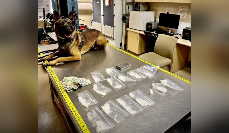 Woodland Woman Arrested for Suspected Drug Transportation and Sales Following K-9 Detection at Quik Stop