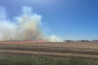 23-Acre Rice Field Fire Erupts Near Marysville